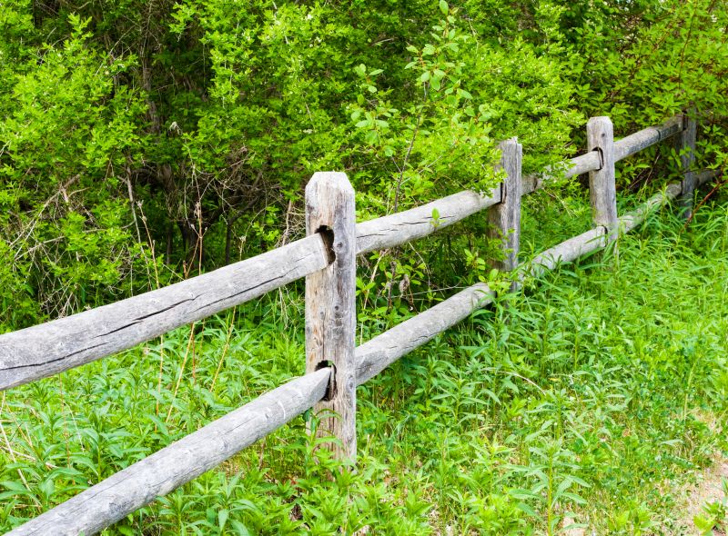 Fence Repair and Maintenance